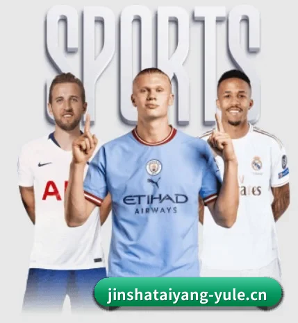 金沙太阳城yule围绕看球场景设计的核心服务